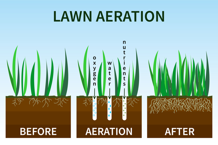 Lawn Aeration Services